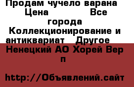 Продам чучело варана. › Цена ­ 15 000 - Все города Коллекционирование и антиквариат » Другое   . Ненецкий АО,Хорей-Вер п.